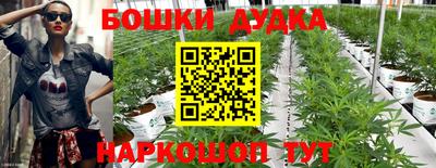 шишки Лесосибирск
