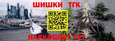 шишки Лесосибирск