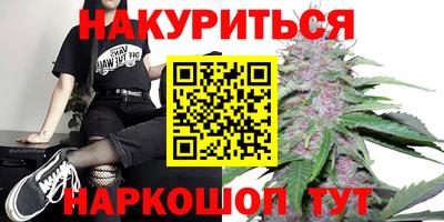 шишки Лесосибирск