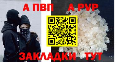 шишки Лесосибирск